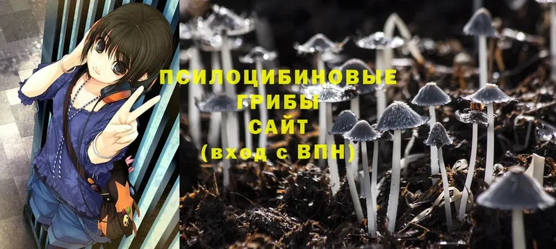 MEGA сайт  Гусев  Галлюциногенные грибы Magic Shrooms 